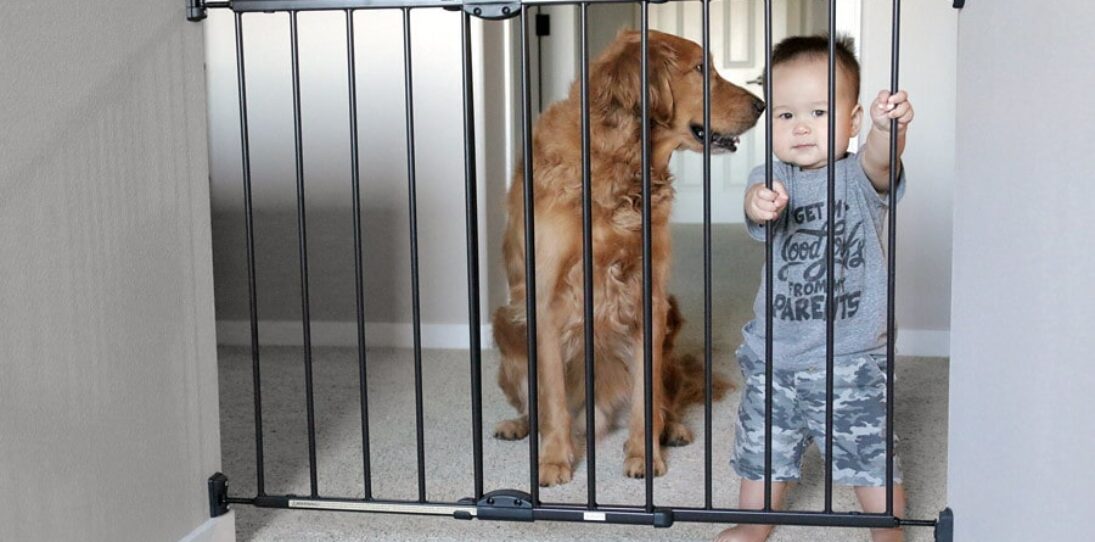 Is a Baby Gate Necessary for Baby Proofing