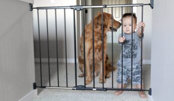 Is a Baby Gate Necessary for Baby Proofing