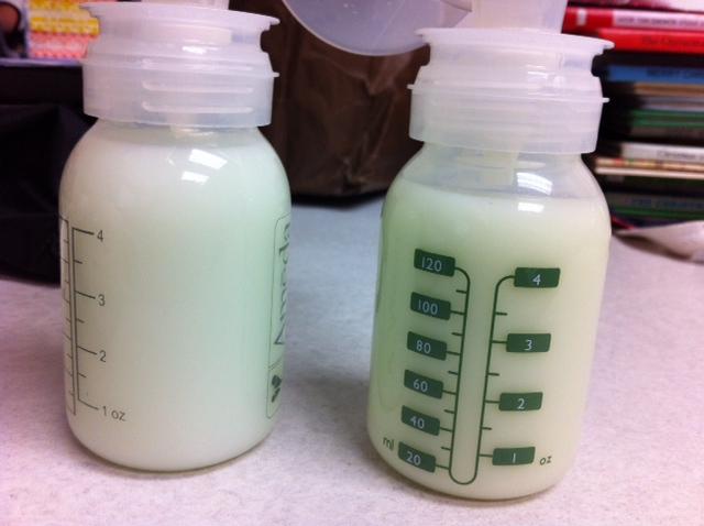 Full Bottles of Pumped Breast Milk