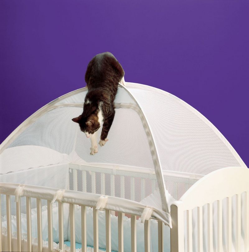 how to keep cat out of crib with crib tent