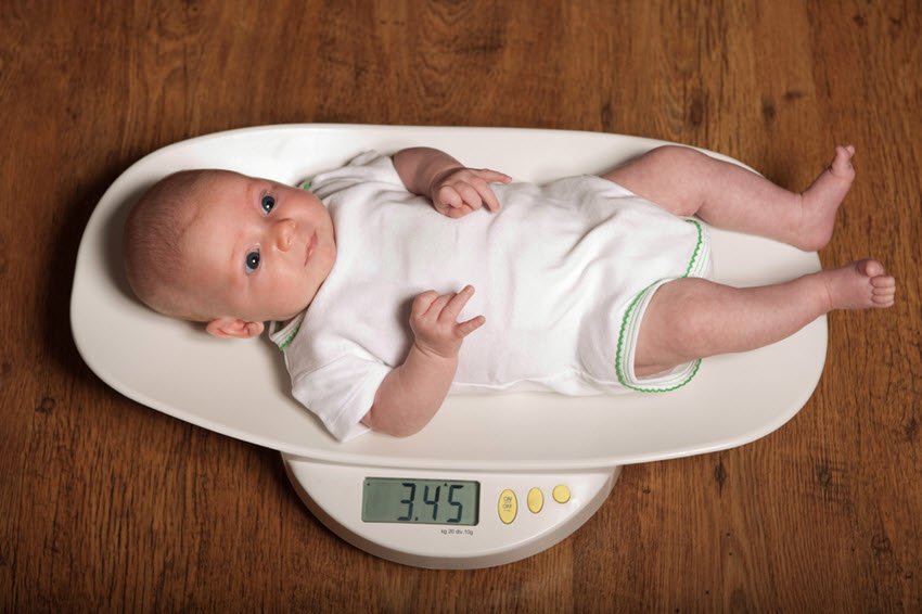 Newborn Baby on a Scale