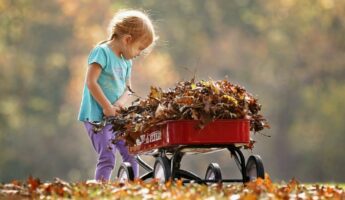 Best Wagons for your Kids