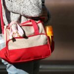 10 Best Diaper Bags for Twins in 2020