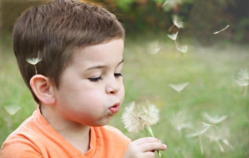 boy blowing dandelion