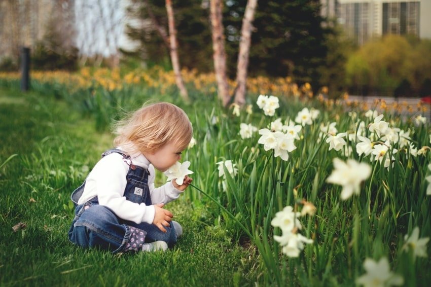 girl-sitting-on-grass-smelling-white-petaled-flower-1879288