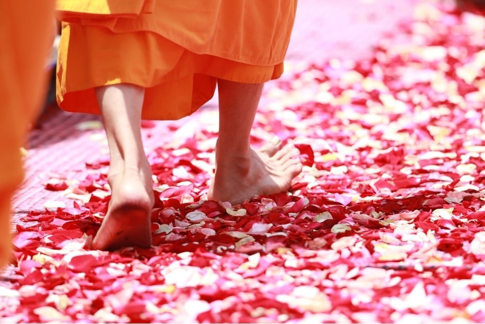 buddhist monk stepping over petals