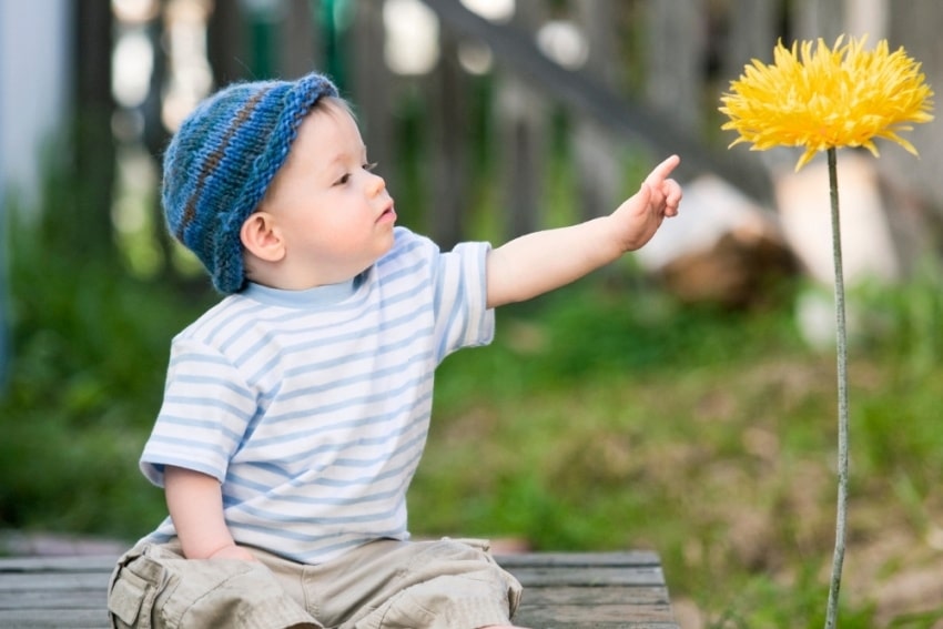 little boy and a yellow flower
