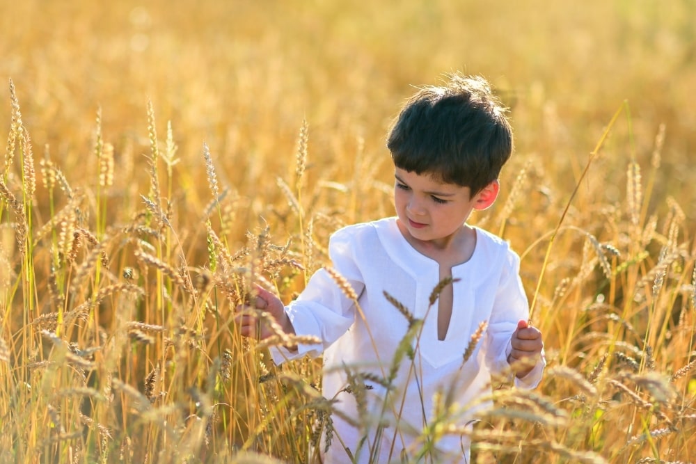 little boy in a field