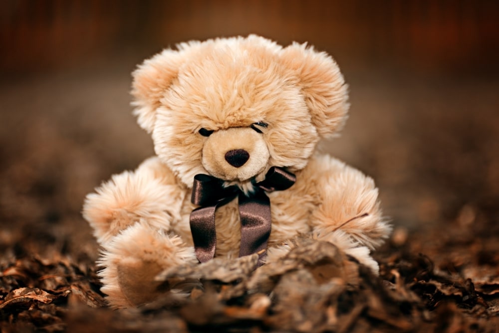 teddy bear on the ground