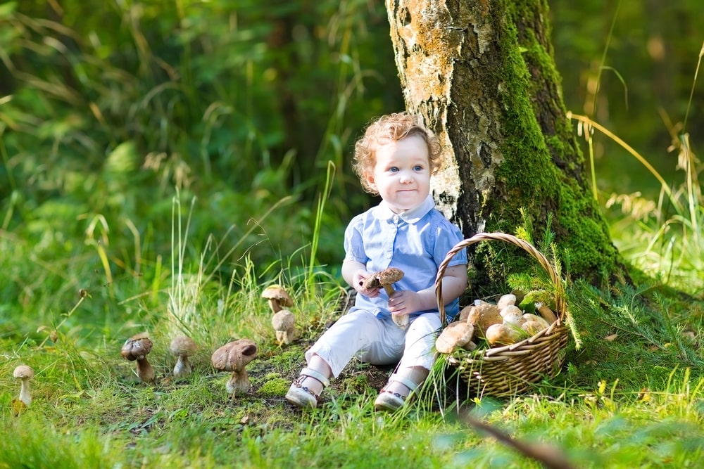 Baby girl gathering mushrooms