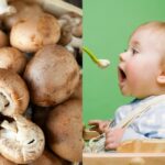 Can Babies Eat Mushrooms? Is It Safe? Are There Benefits?