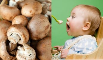 Can Babies Eat Mushrooms? Is It Safe? Are There Benefits?