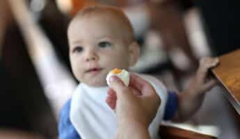 When Can Babies Eat Eggs?