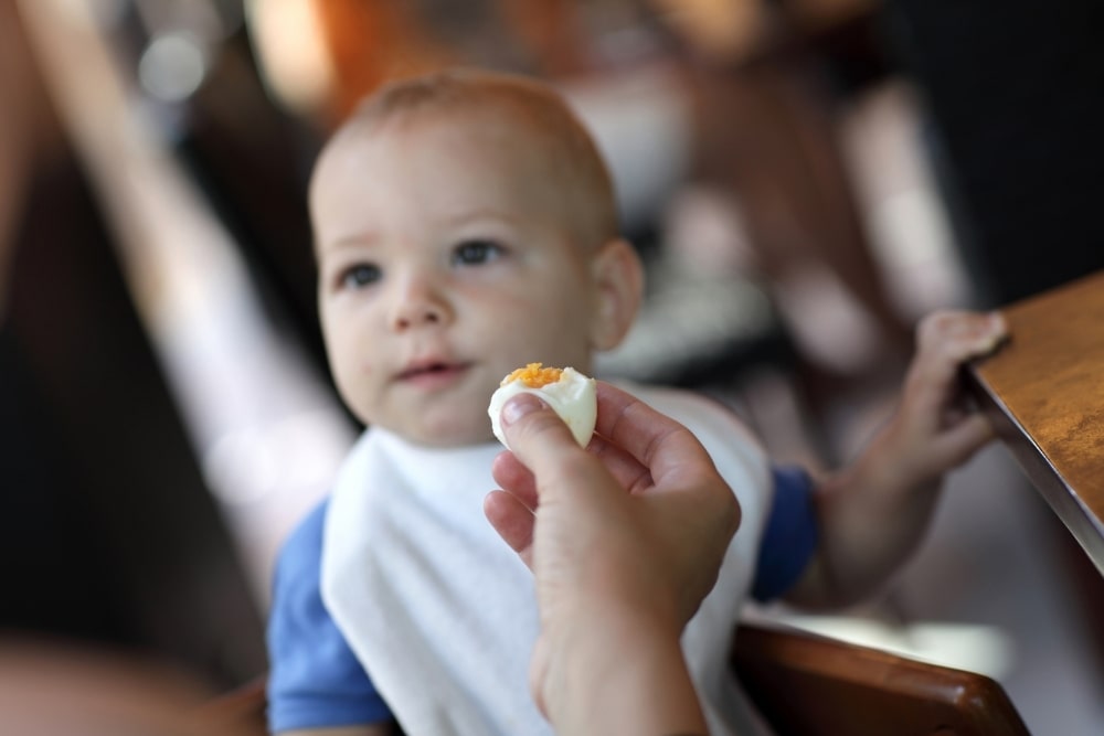 When Can Babies Eat Eggs?