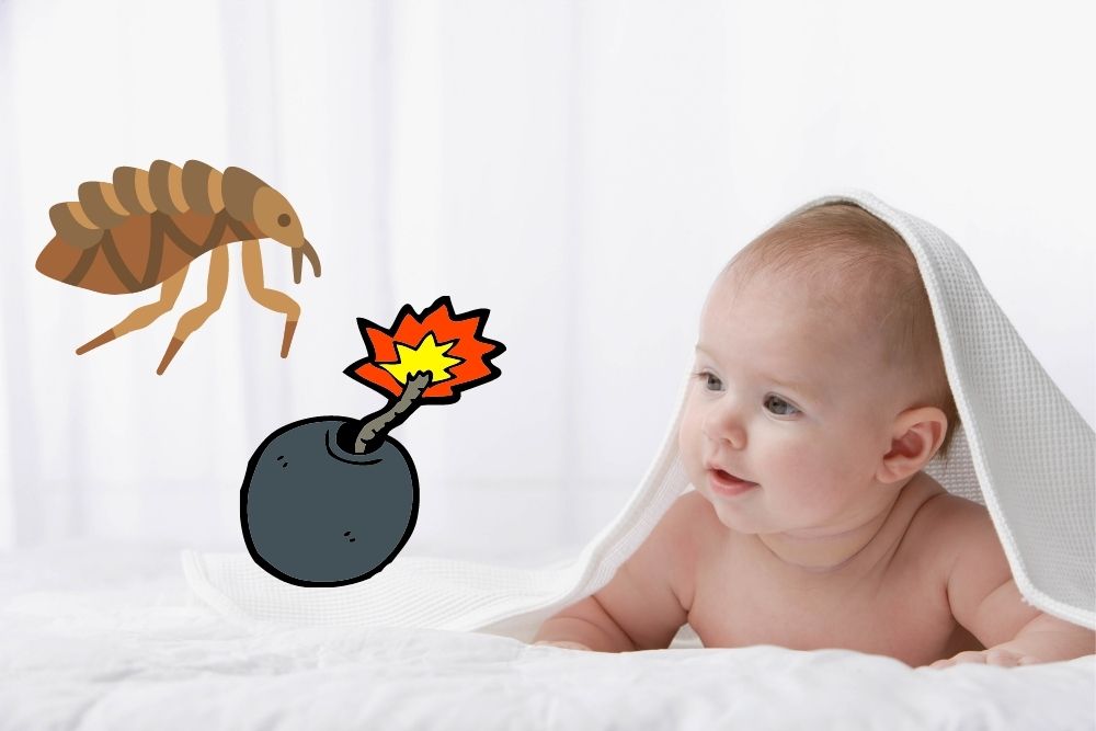 Are Flea Bombs Safe For Babies?