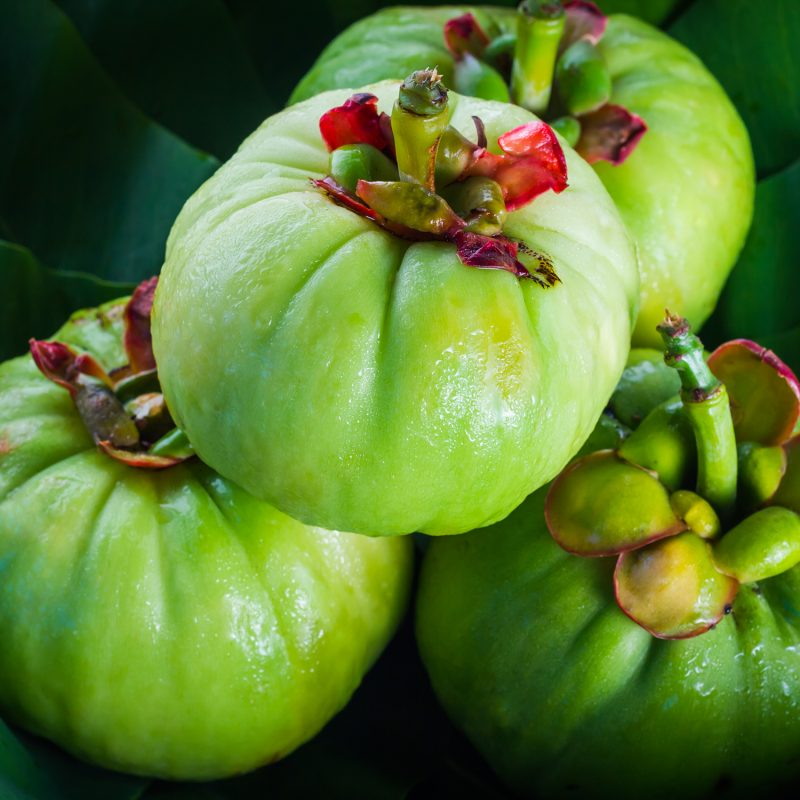 Still life with fresh garcinia cambogia on wooden background