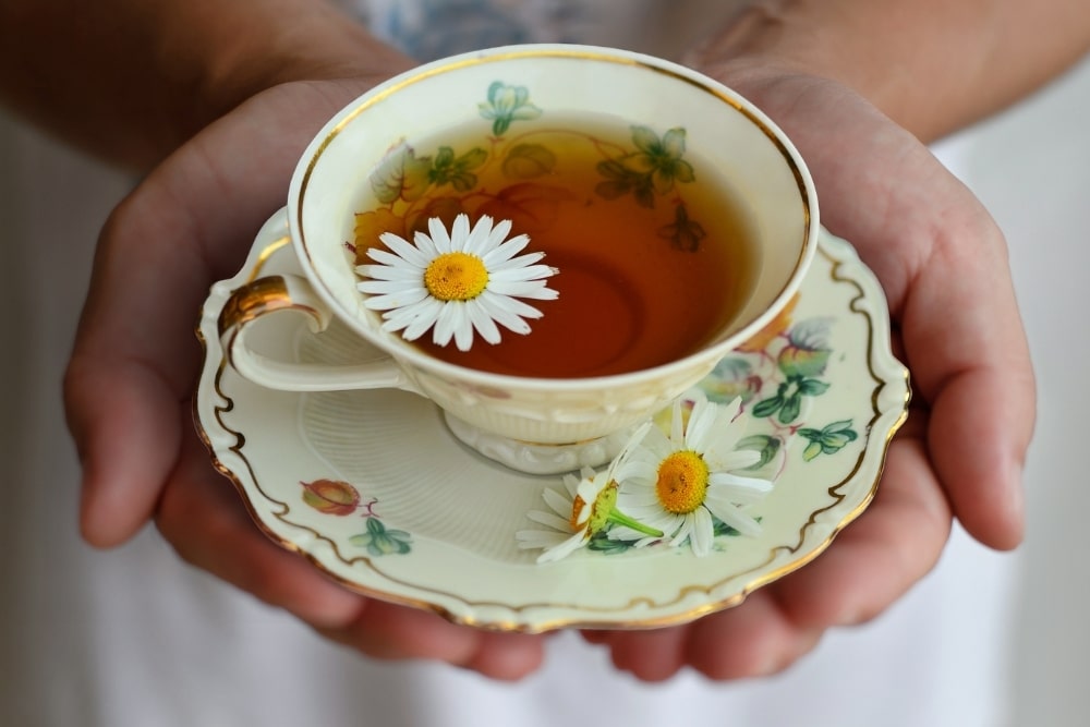 chamomile tea cup