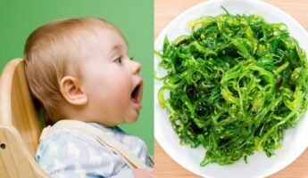 Is Kelp Seaweed Safe For Babies to Eat?