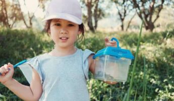 10 Amazing Kids Bug Catching Kits for 2022