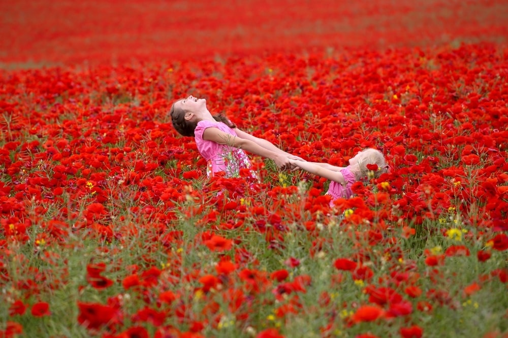girls sisters outdoors field of poppies