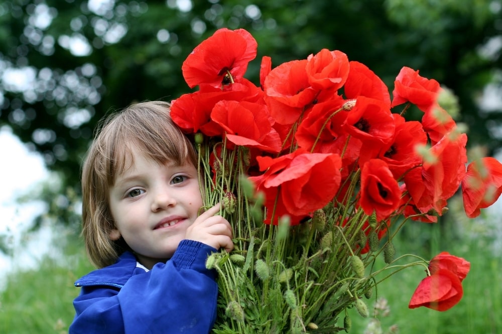 little girl outdoors with poppies