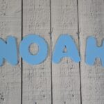 101+ Cute Middle Names For Noah