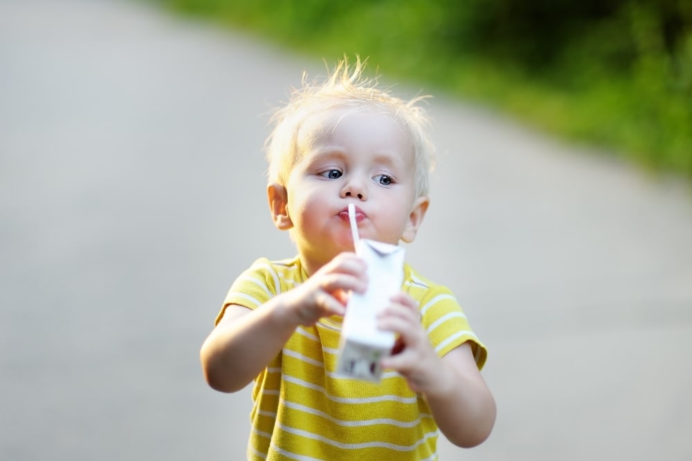 little boy toddler kid drinking milk outdoors1