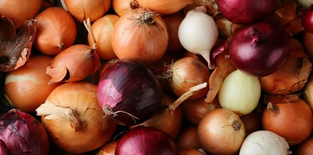 What Are The Benefits of Onions During Pregnancy? Are there Risks?