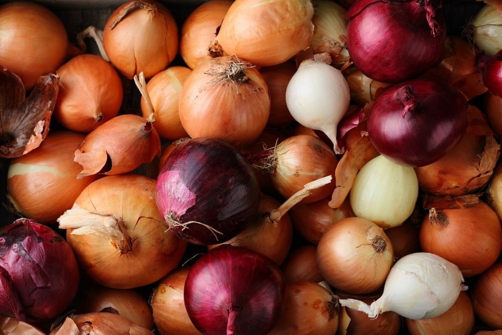 What Are The Benefits of Onions During Pregnancy? Are there Risks?