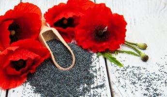 Are Poppy Seeds Safe During Pregnancy?