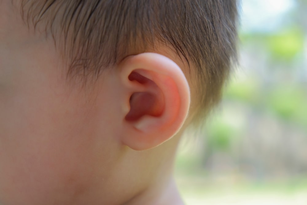 baby ear (2)