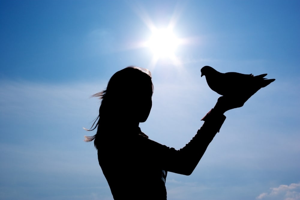 girl holding bird silhouette