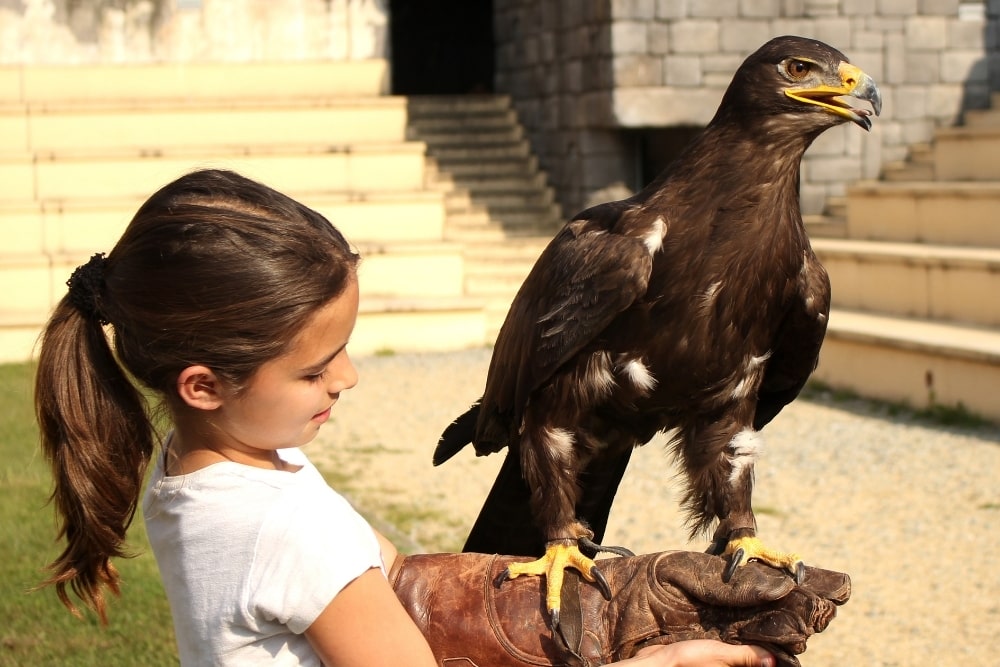 girl holding eagle