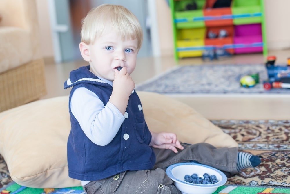 Can Blueberries Cause My Baby’s Poop To Be Blue And Chunky?