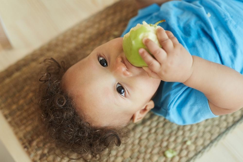 baby boy eating apple (3)