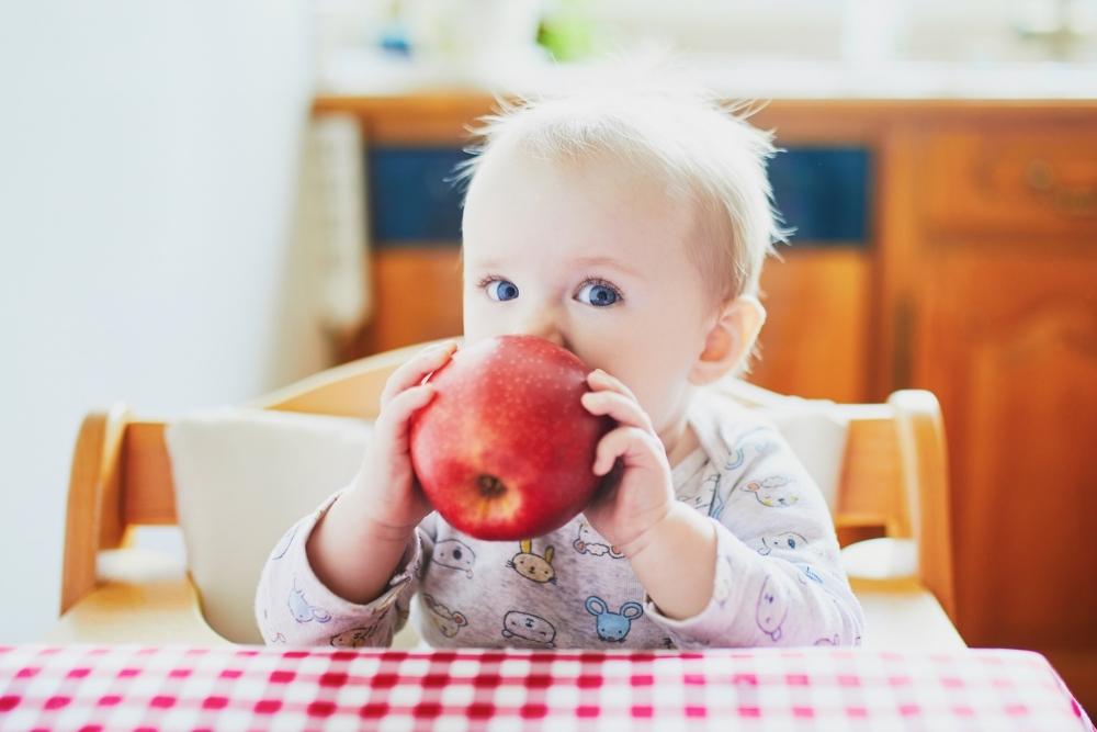 baby boy eating apple
