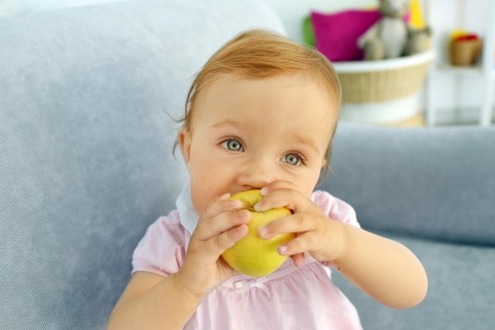 baby little girl eating apple